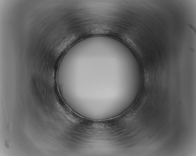 X0000099970490200806061633