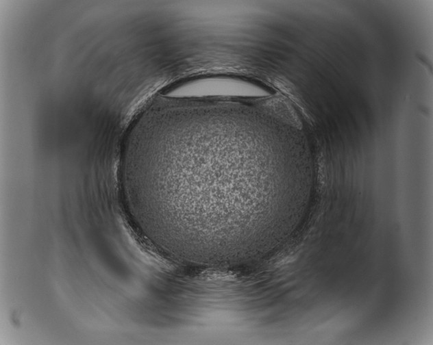 X0000099970491200806061633