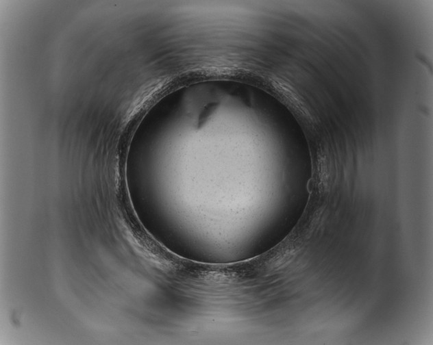 X0000099970494200806061633