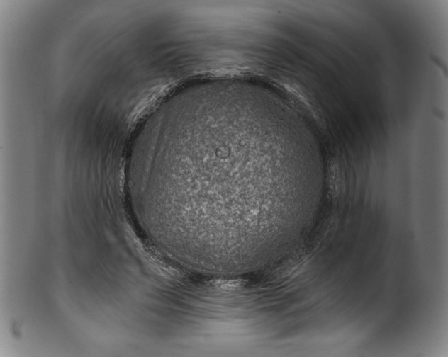 X0000099970495200806061633