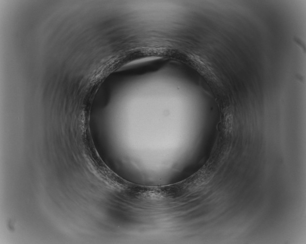 X0000099970498200806061633