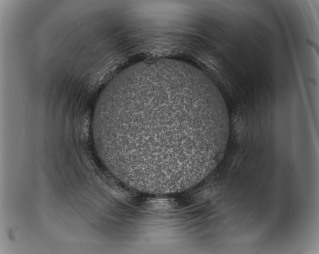 X0000099970499200806061633