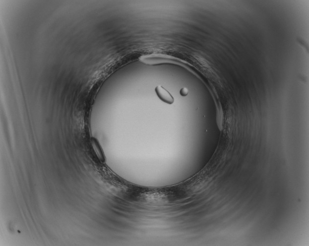 X0000099970500200806061633