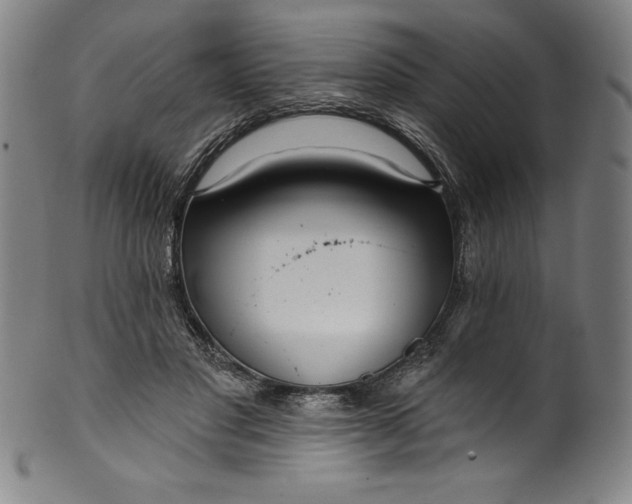 X0000099970501200806061633