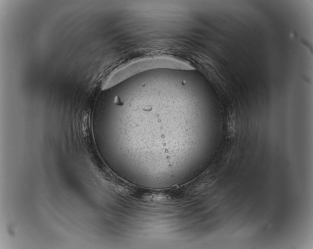 X0000099970503200806061633