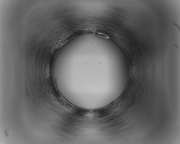 X0000099970504200806061633