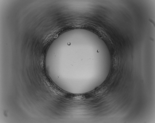 X0000099970505200806061633