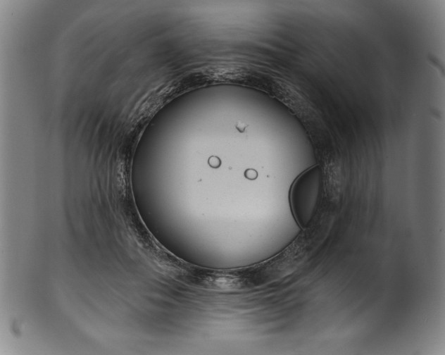 X0000099970506200806061633