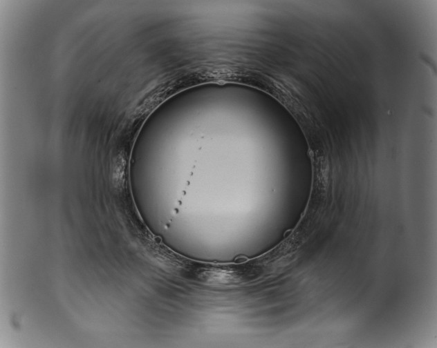 X0000099970507200806061633