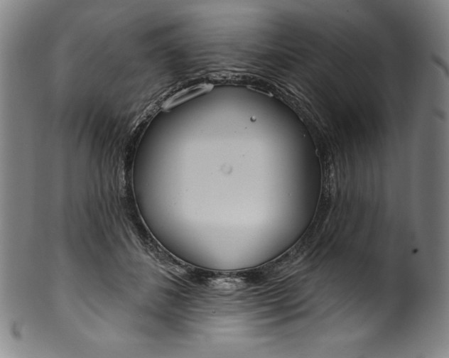 X0000099970508200806061633