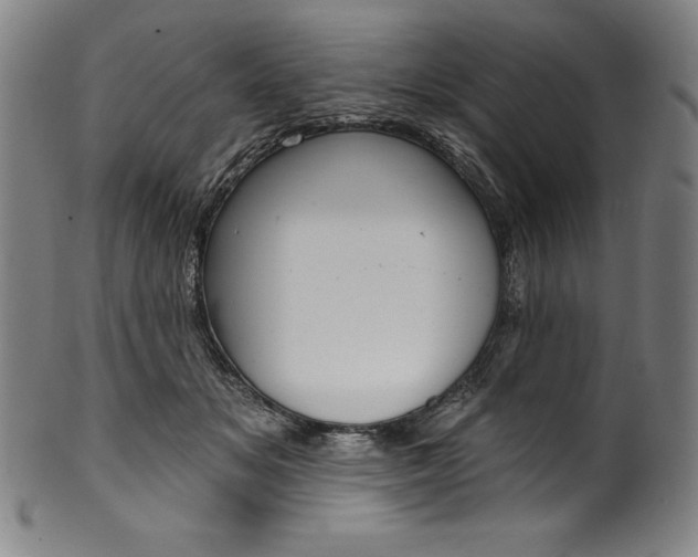 X0000099970509200806061633