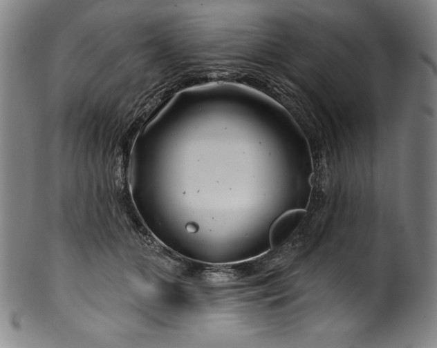 X0000099970510200806061633