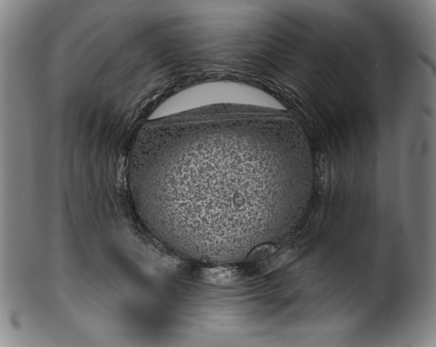 X0000099970511200806061633