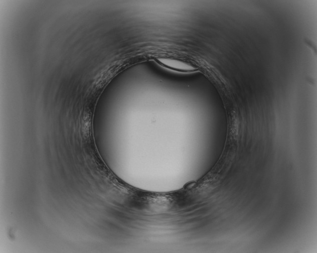 X0000099970513200806061633