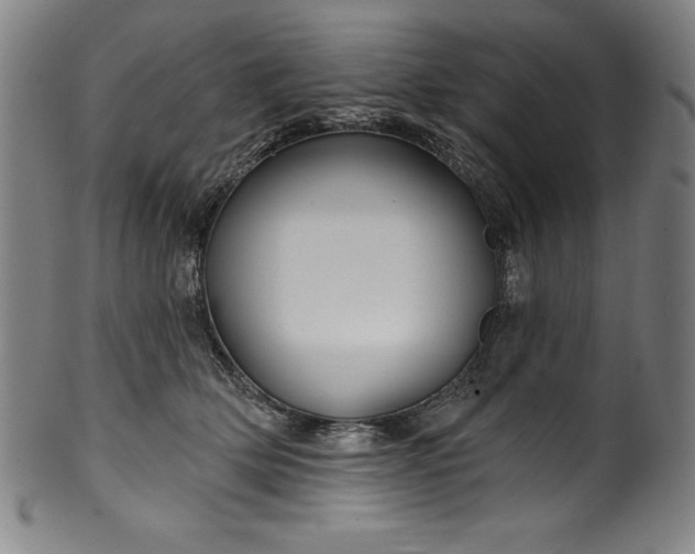 X0000099970514200806061633