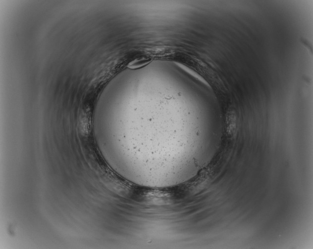 X0000099970515200806061633