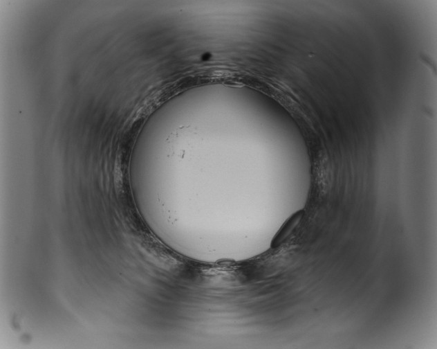 X0000099970516200806061633