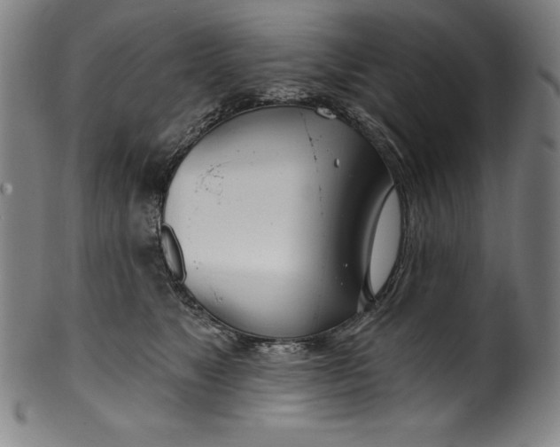 X0000099970517200806061633