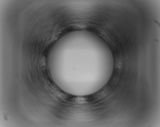 X0000099970518200806061633