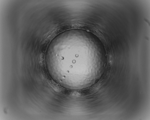 X0000099970519200806061633