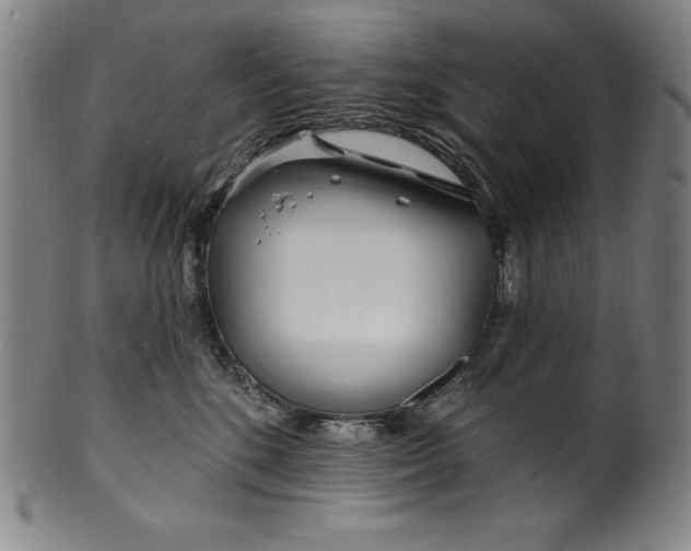 X0000099970520200806061633