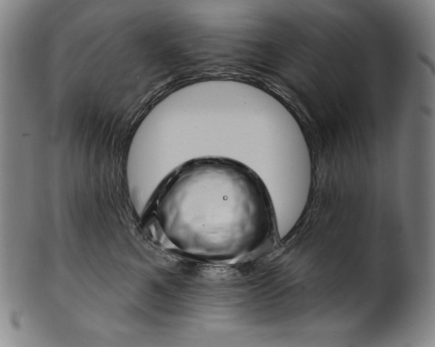 X0000099970521200806061633