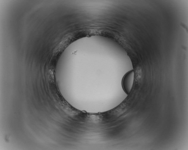 X0000099970522200806061633