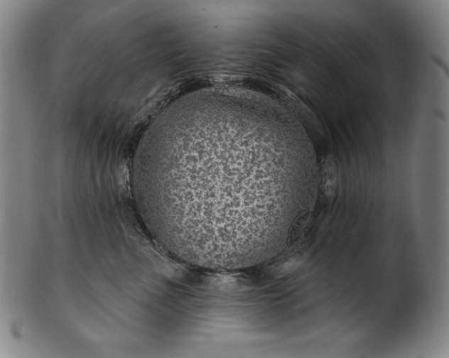 X0000099970523200806061633