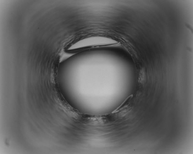 X0000099970524200806061633