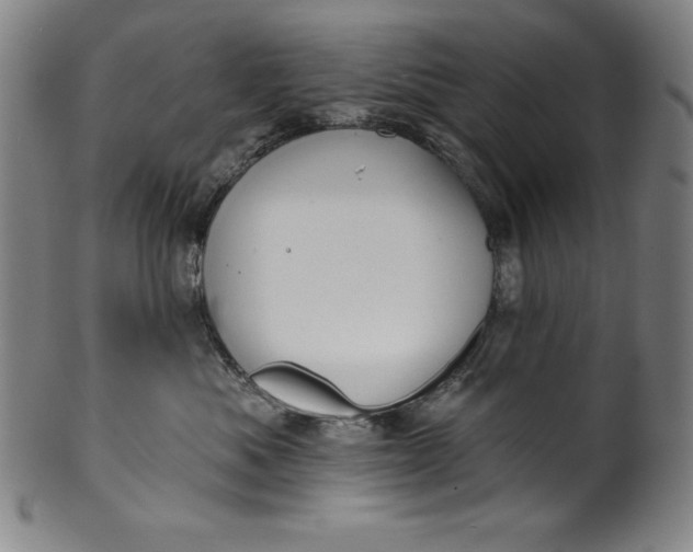 X0000099970525200806061633