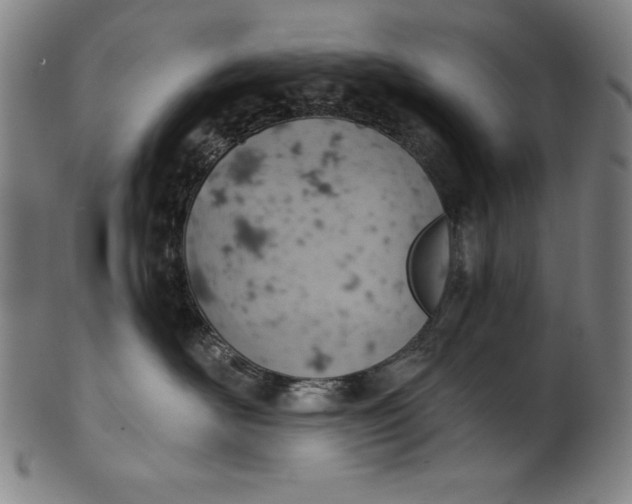 X0000099970526200806061633