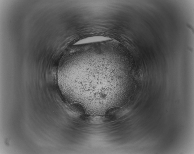 X0000099970527200806061633