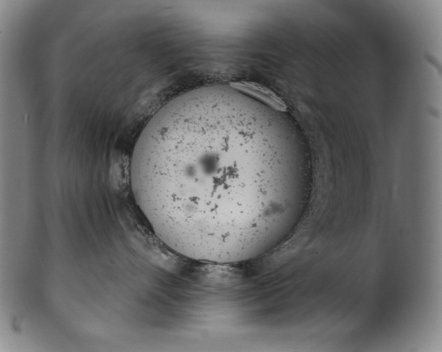 X0000099970528200806061633