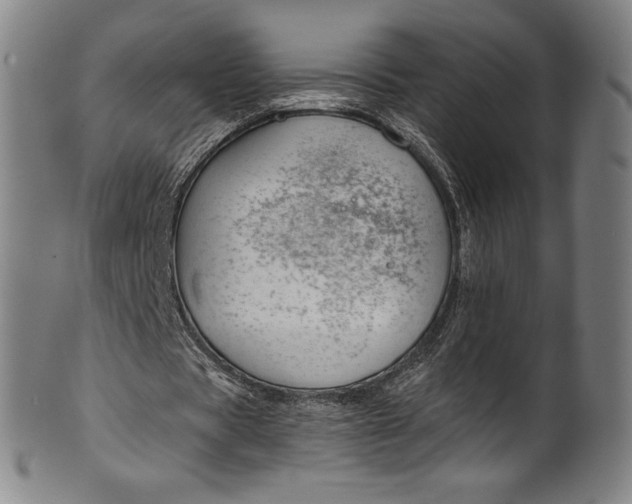 X0000099970529200806061632