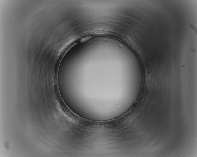 X0000099970530200806061632