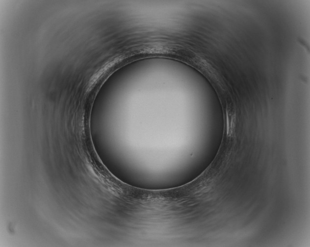 X0000099970531200806061632