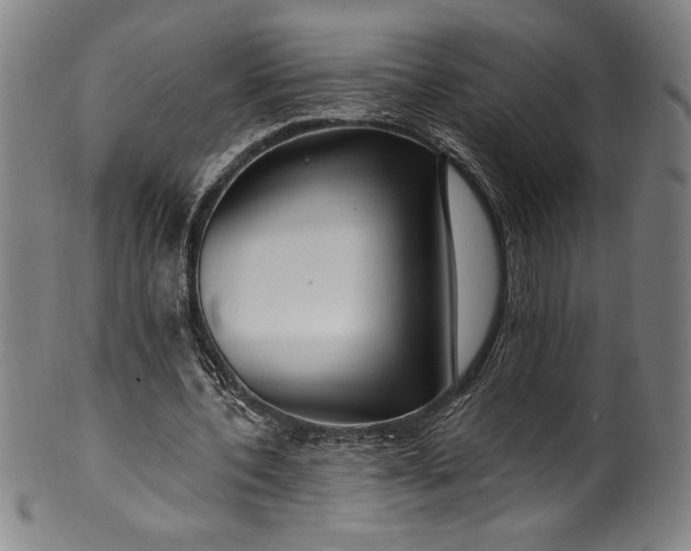 X0000099970532200806061632