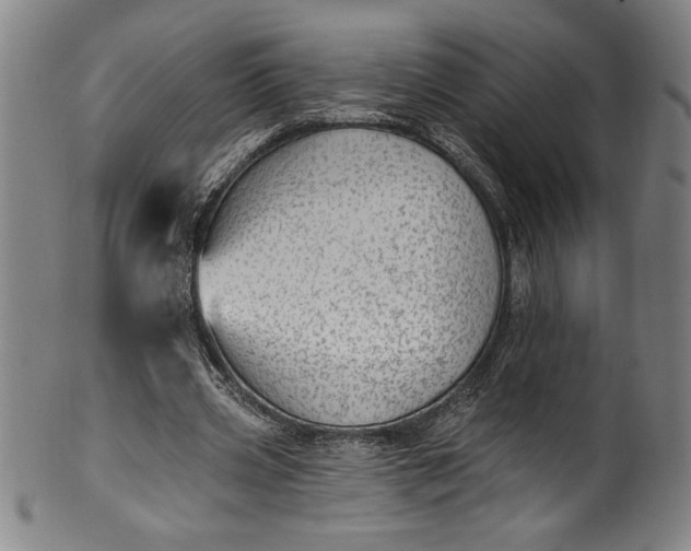 X0000099970533200806061632