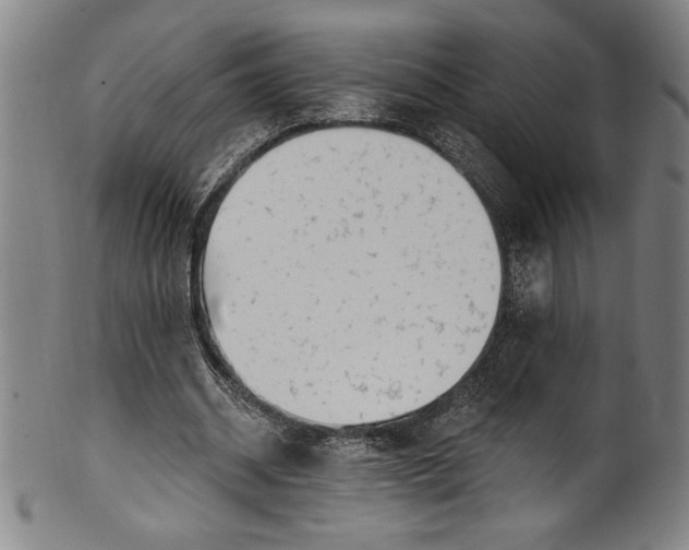 X0000099970534200806061632