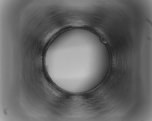 X0000099970535200806061632