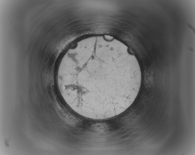 X0000099970536200806061632