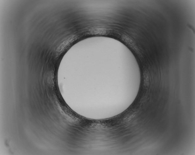 X0000099970538200806061632