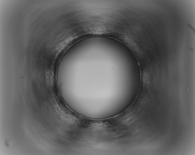 X0000099970540200806061632