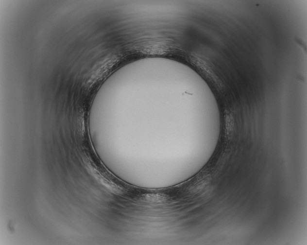 X0000099970541200806061632