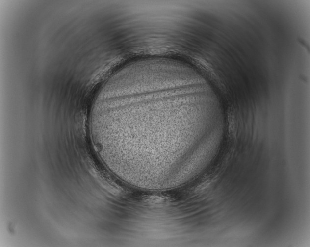 X0000099970542200806061632