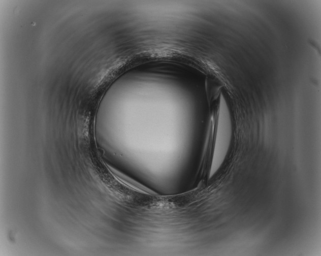 X0000099970543200806061632