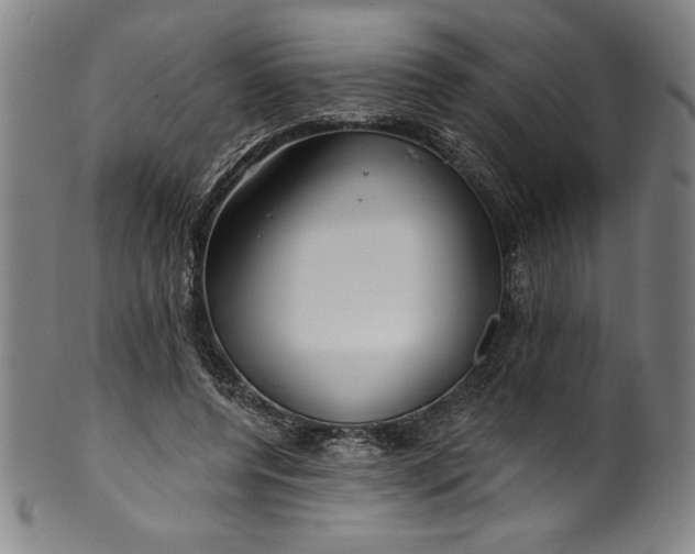 X0000099970544200806061632