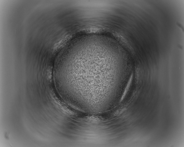 X0000099970545200806061632