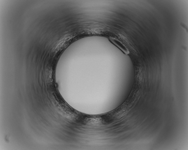 X0000099970548200806061632