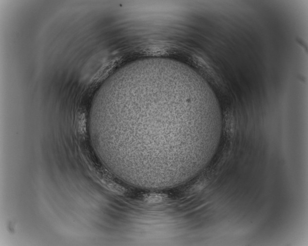 X0000099970549200806061632